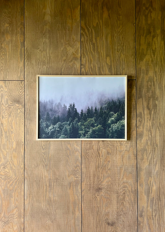 Poster – Dimhöljd granskog